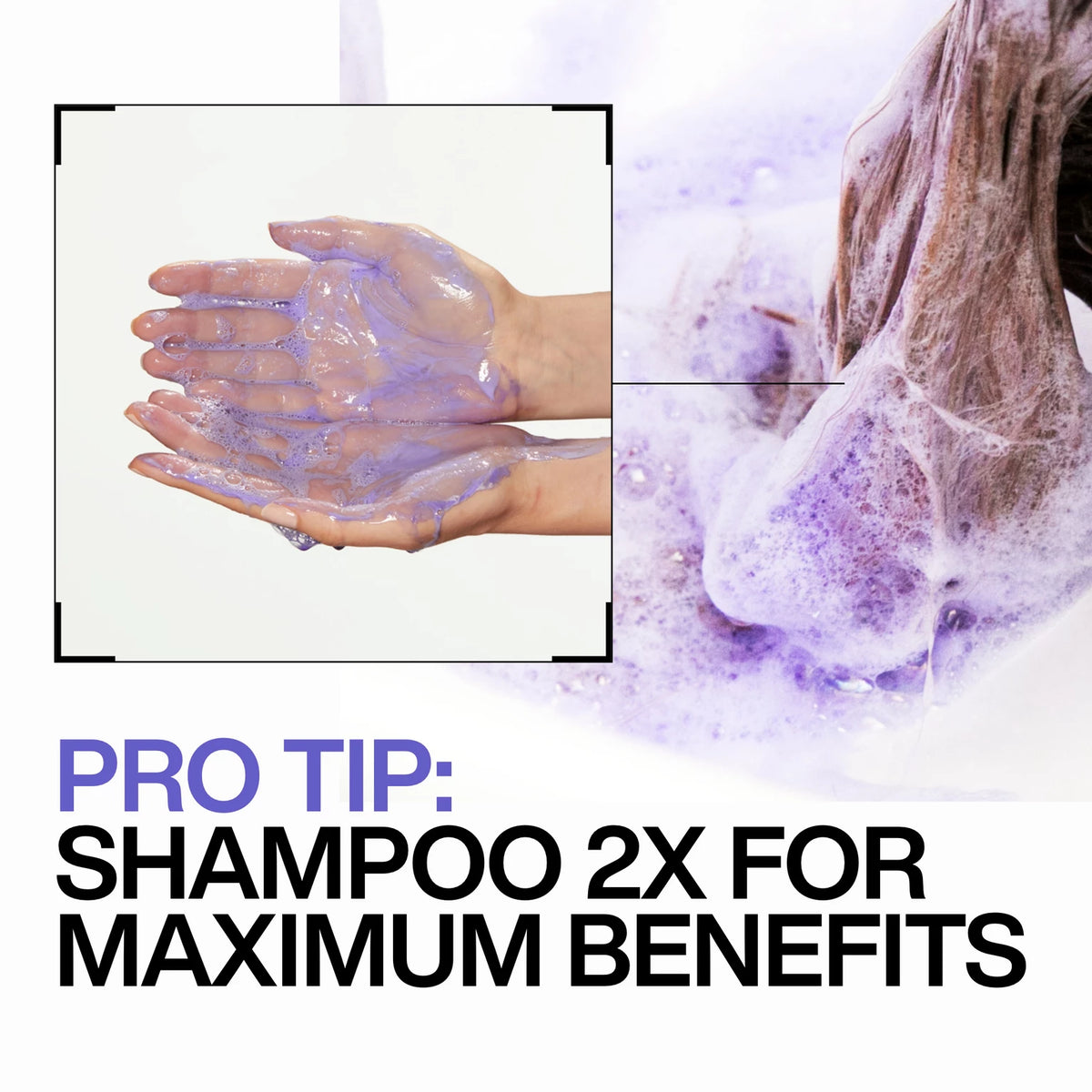 Blondage Shampoo - US 6015